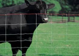 hose fence